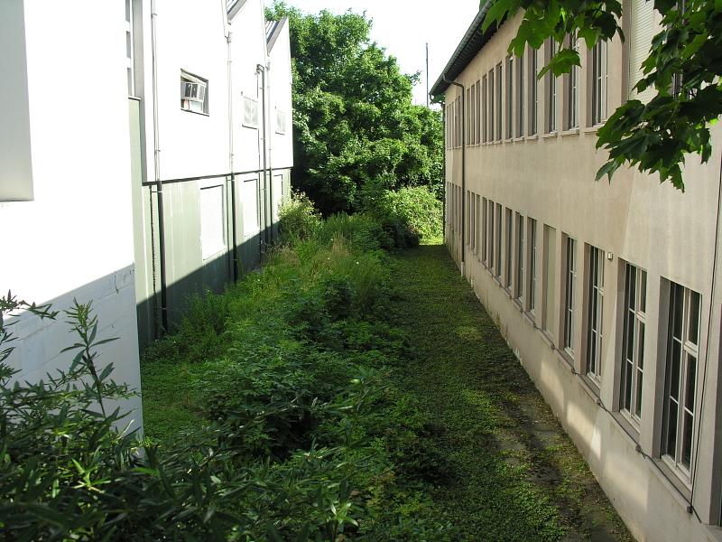20080710_095301.jpg
