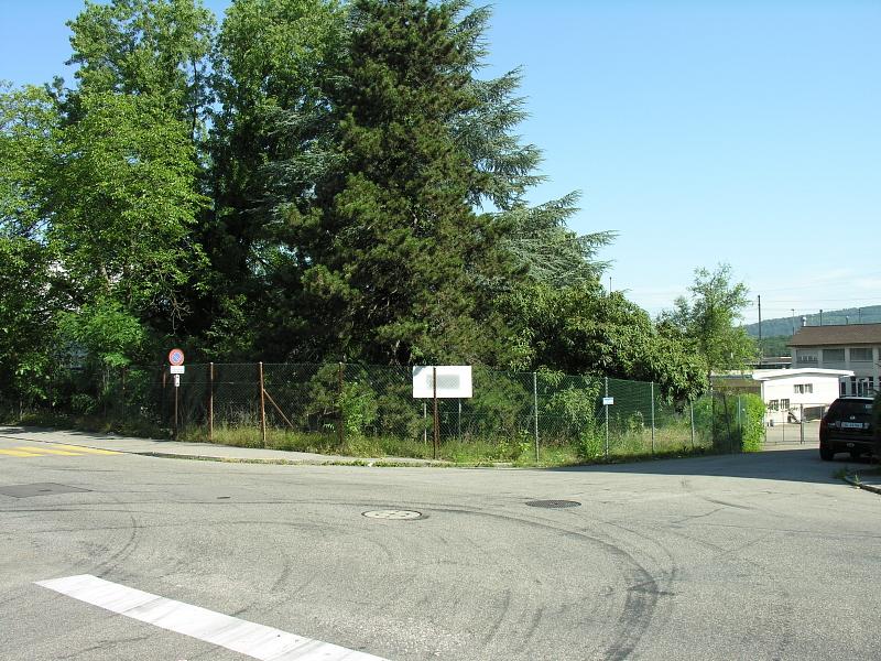 20080710_100702.jpg