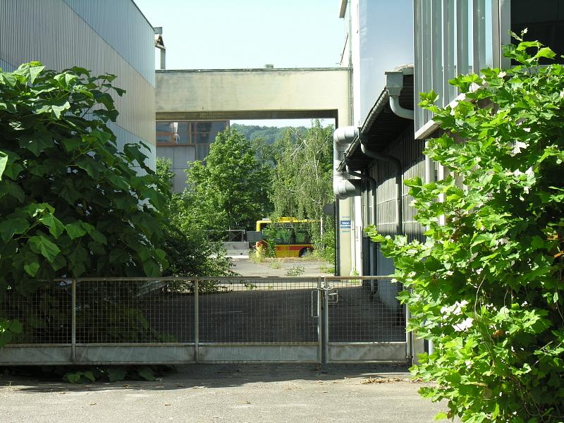20080710_102648.jpg