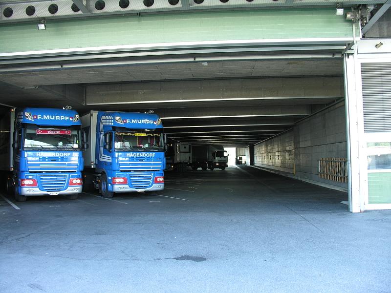 20080710_102901.jpg
