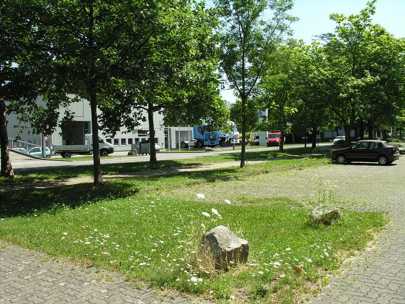 20080710_113548.jpg