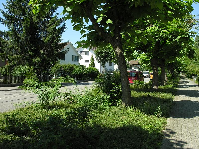20080710_114748.jpg