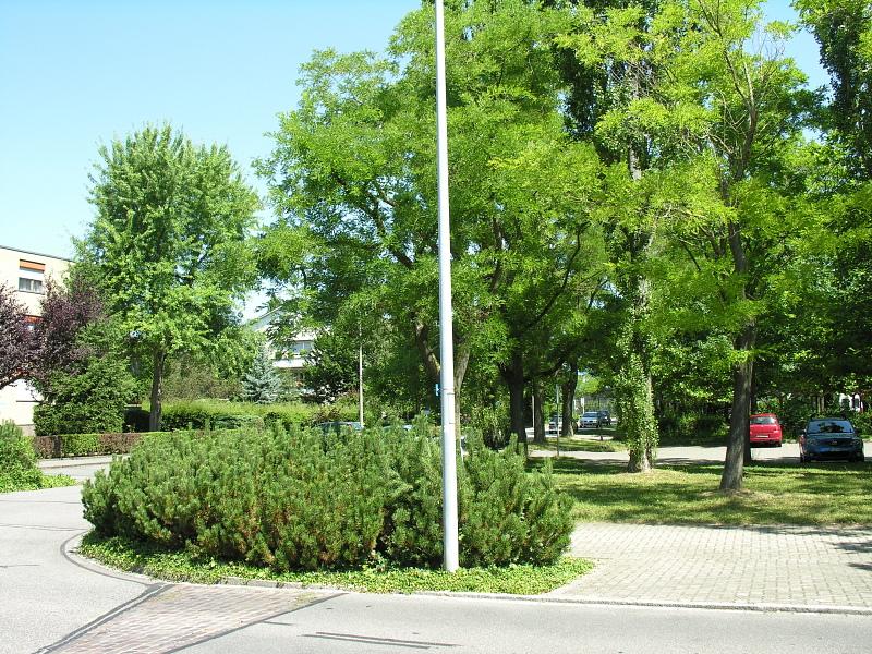 20080710_115217.jpg