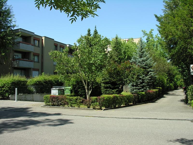 20080710_115405.jpg