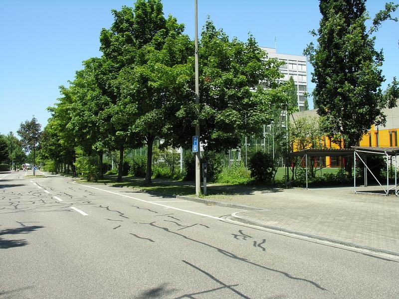 20080710_123602.jpg