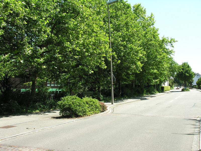 20080710_123614.jpg