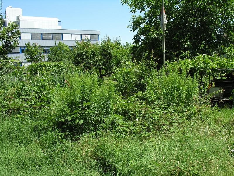 20080710_123742.jpg