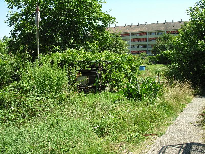 20080710_123749.jpg
