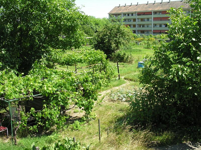 20080710_123820.jpg