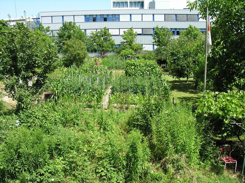 20080710_123827.jpg