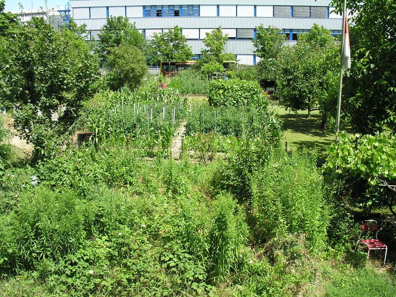 20080710_123834.jpg