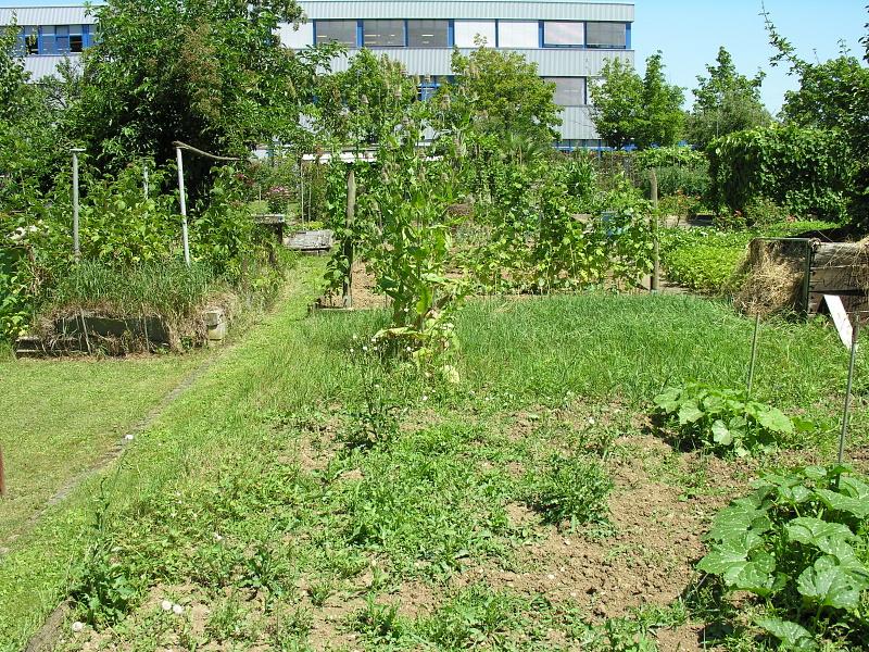 20080710_124130.jpg