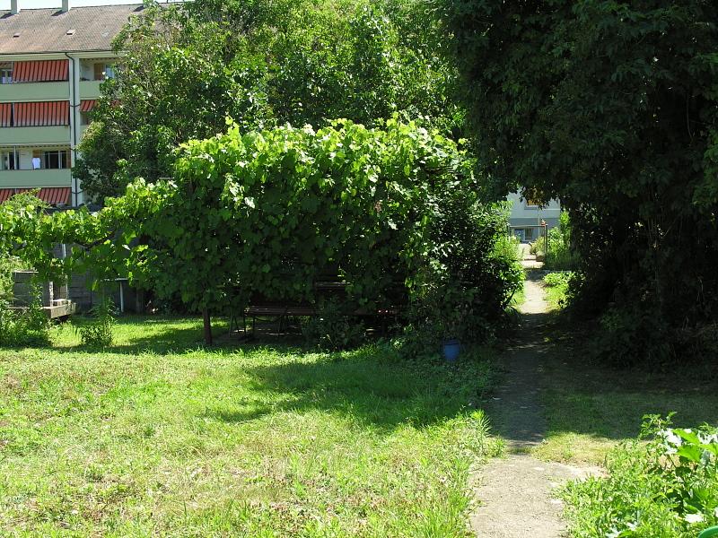 20080710_124152.jpg