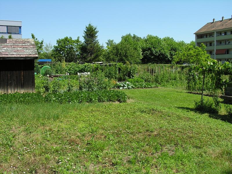 20080710_124231.jpg