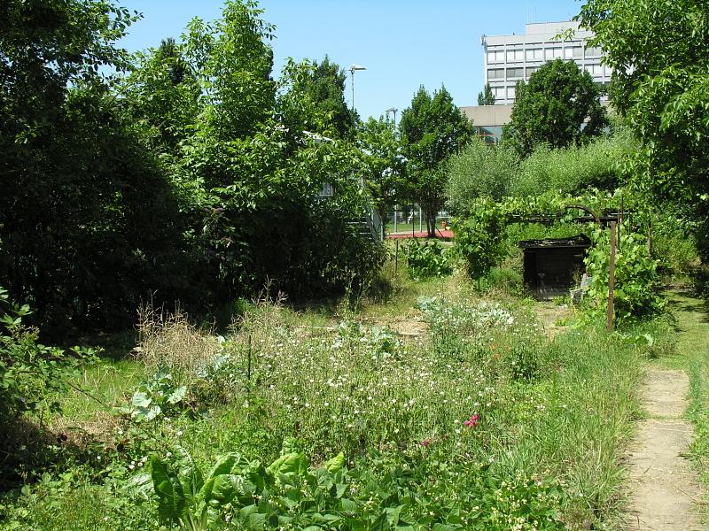 20080710_124311.jpg