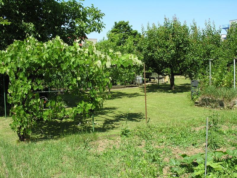 20080710_124327.jpg