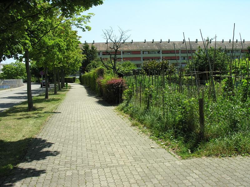 20080710_124509.jpg