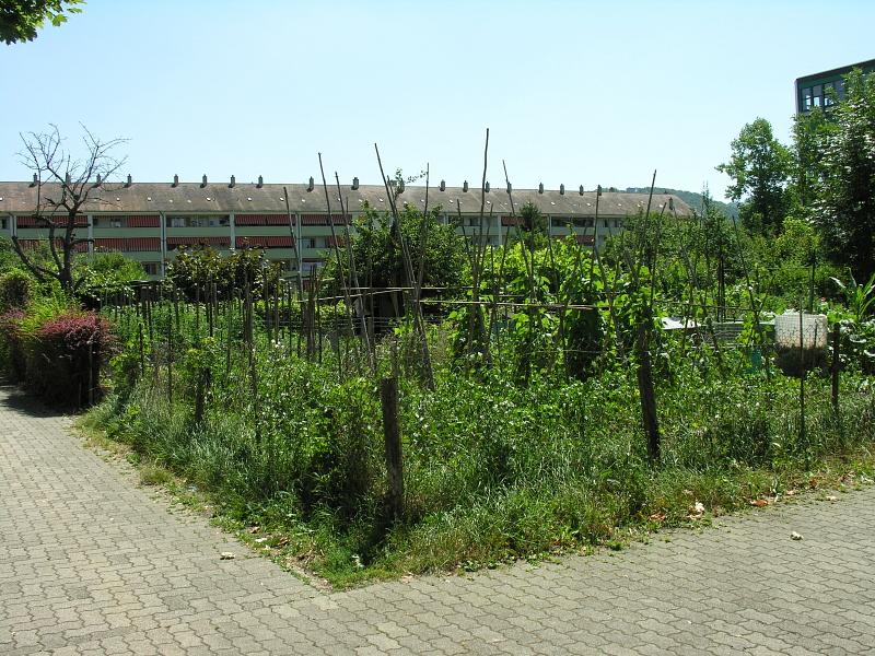 20080710_124533.jpg