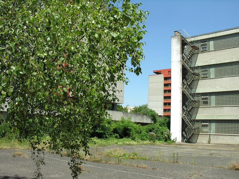 20080710_125002.jpg