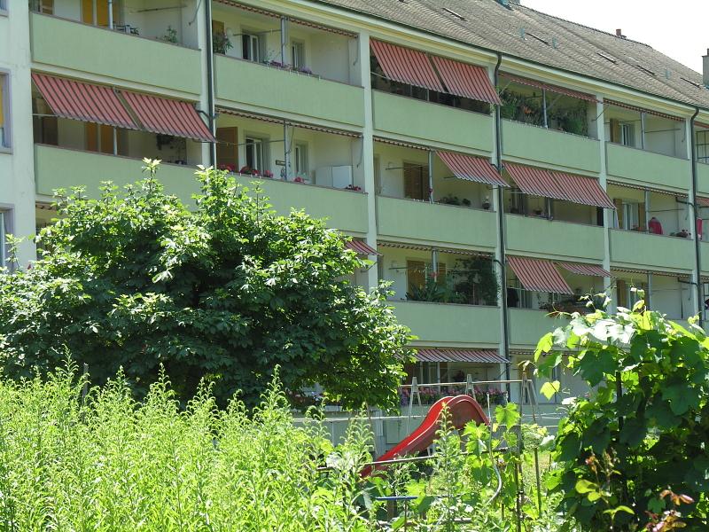 20080710_125524.jpg