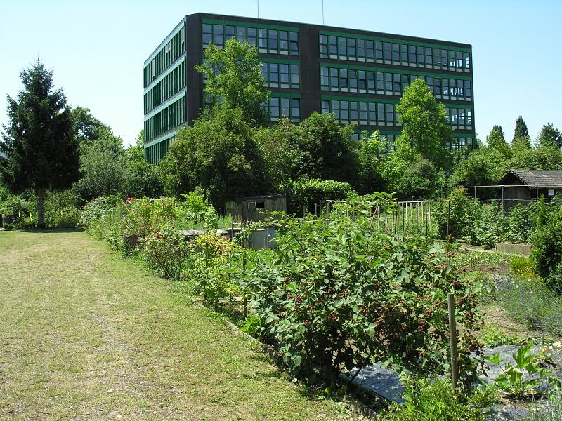 20080710_125551.jpg