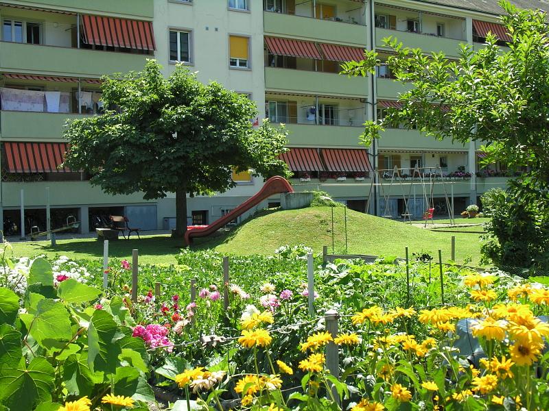 20080710_125623.jpg