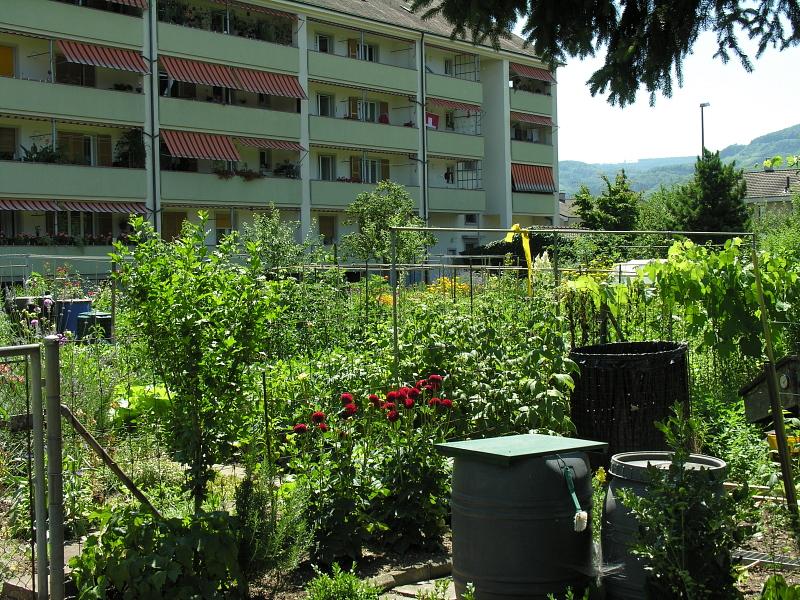 20080710_125656.jpg