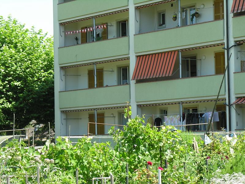 20080710_125750.jpg