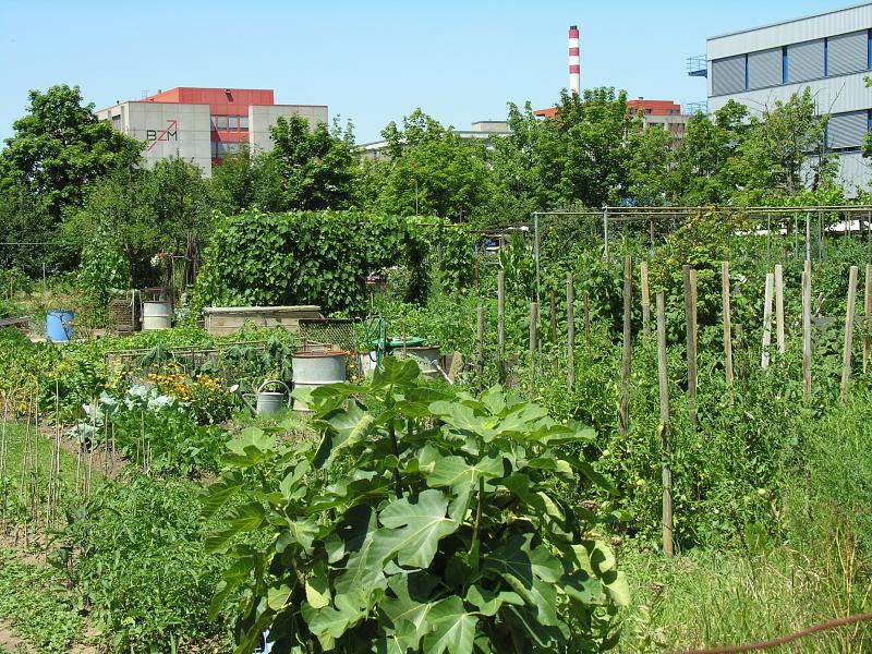 20080710_130113.jpg