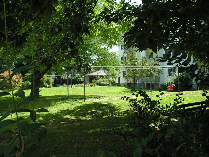 20080710_130543.jpg