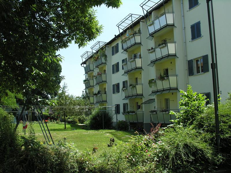 20080710_130617.jpg