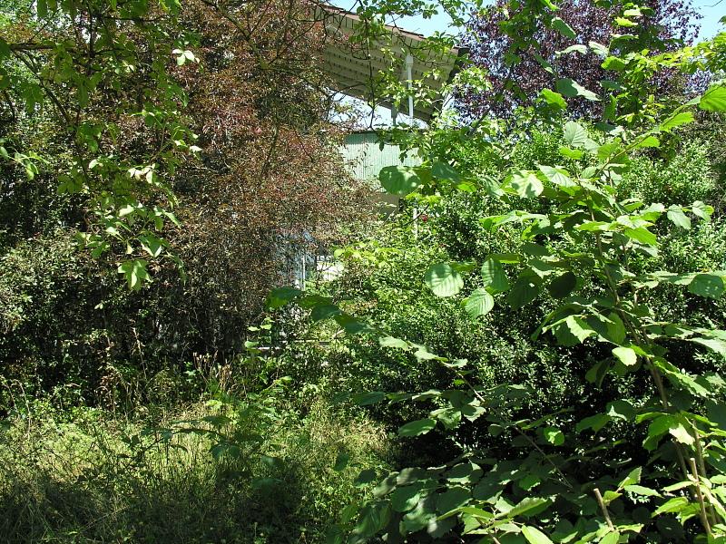 20080710_132815.jpg