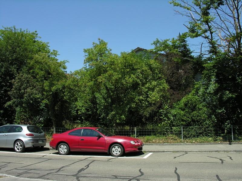 20080710_132859.jpg