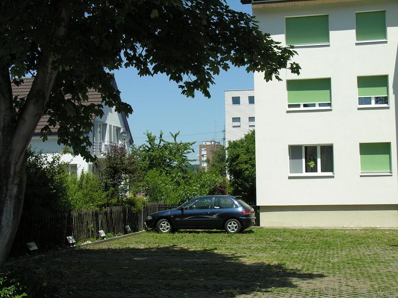 20080710_133036.jpg