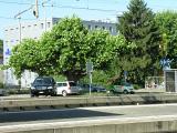 20080710_092958