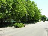 20080710_123614