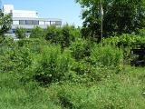 20080710_123742