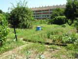 20080710_124054