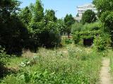20080710_124311