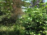 20080710_132815